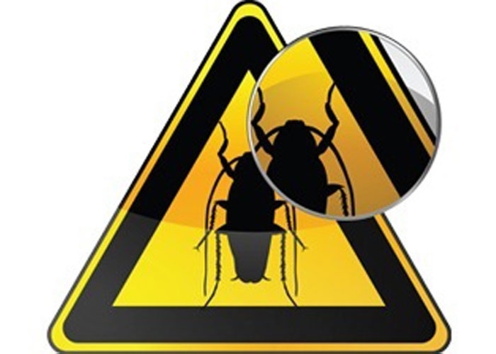 Απολυμάνσεις Αχαρνές