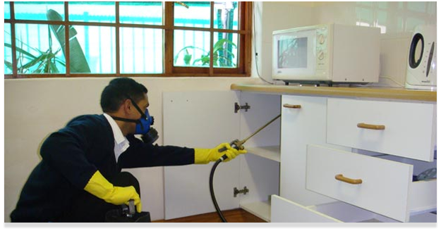 Απολυμάνσεις Πειραϊκή