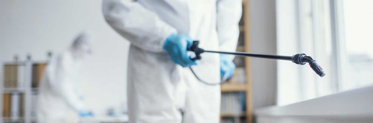 ΑΠΕΝΤΟΜΩΣΕΙΣ ΚΑΙ ΚΑΤΑΠΟΛΕΜΗΣΗ ΠΑΡΑΣΙΤΩΝ