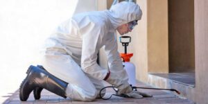 ΑΠΟΛΥΜΑΝΣΗ ΑΠΕΝΤΟΜΩΣΗ