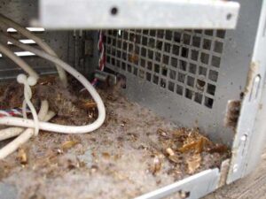 Κατσαρίδες σε ηλεκτρικές συσκευές