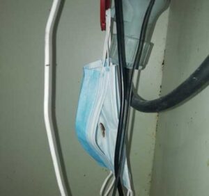 Κατσαρίδα σε μάσκα