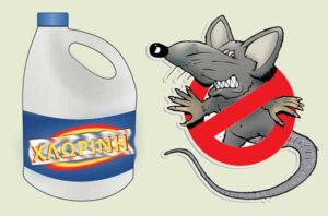 ΧΛΩΡΙΝΗ ΚΑΙ ΠΟΝΤΙΚΙΑ