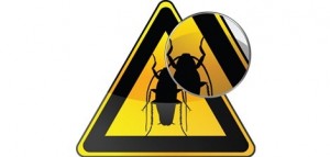 Απολυμανσεις Σταματα